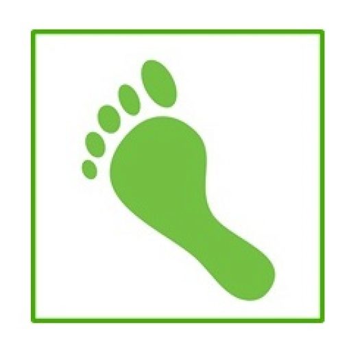 carbon footprint 