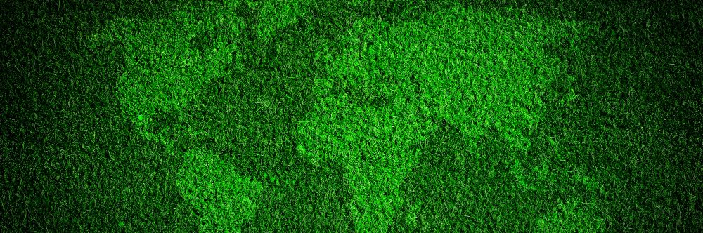 carbon credit consulting services