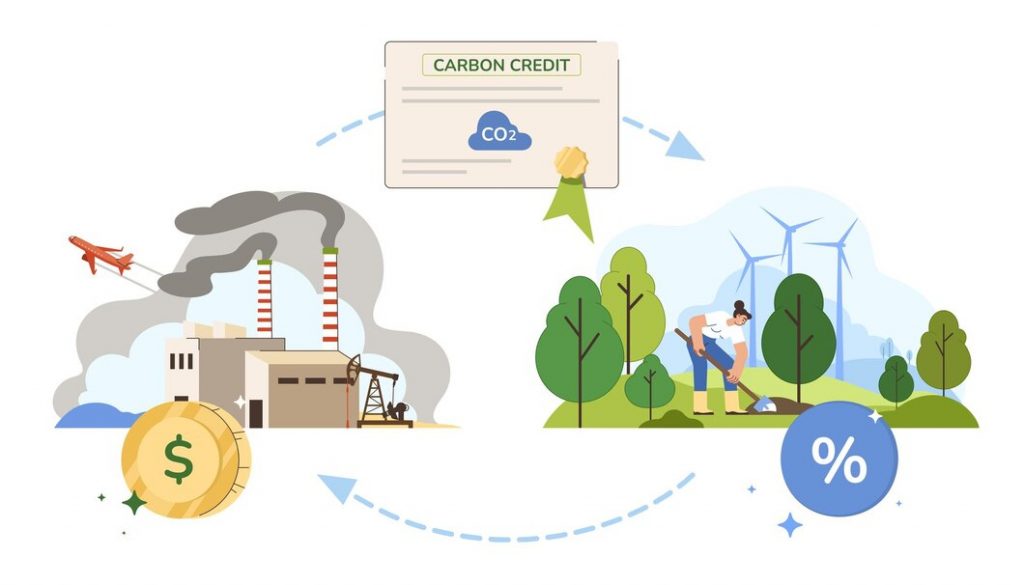 carbon credit certifications